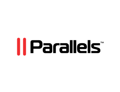 Technology partner